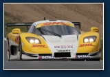 Gravity International Racing en n van hun Mosler Chevrolet MT 900