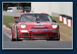 Prospeed -  Porsche 997 GT3 Cup #51